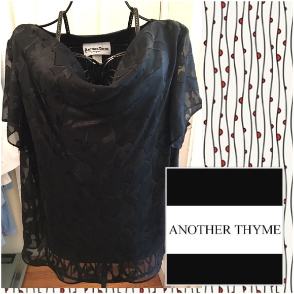 Beautiful top and skirted palazzo pants