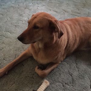 Meet your Posher, Barbara