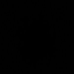 Meet your Posher, Trina