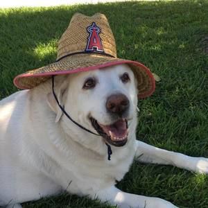 Meet your Posher, Debby