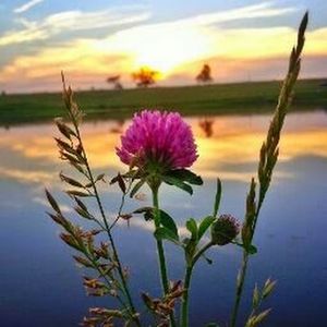 Meet your Posher, Leslie