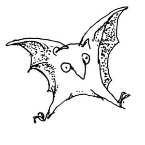 Meet your Posher, Breanna