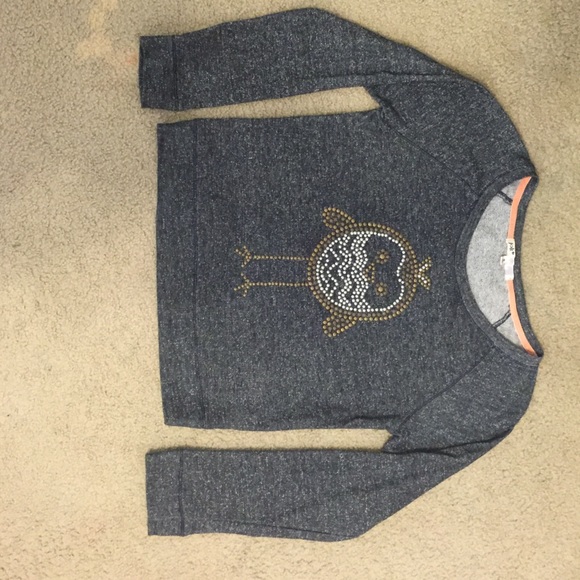 Light Weight Owl Sweater