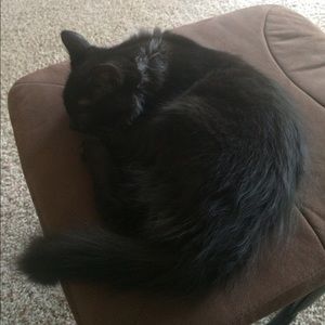 Meet your Posher, Bethany