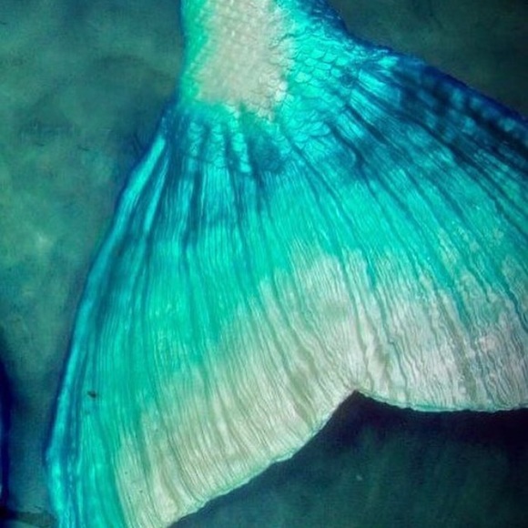 Meet your Posher, Lorena