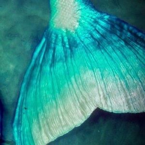 Meet your Posher, Lorena