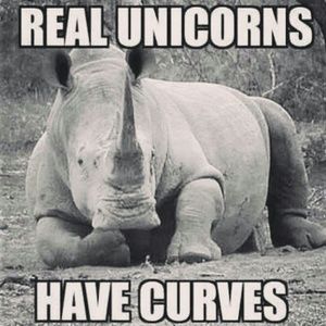 Meet your Posher, Patty