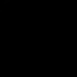 Meet your Posher, Alita