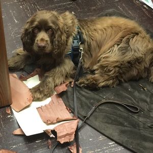 Meet your Posher, Christine