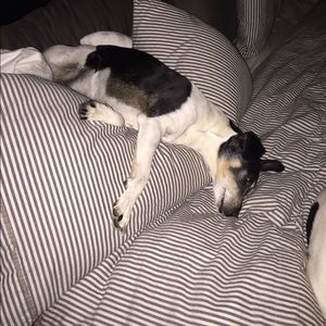 Meet your Posher, Cari