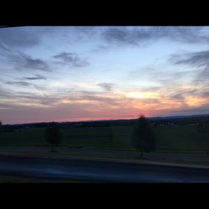 Meet your Posher, Molly