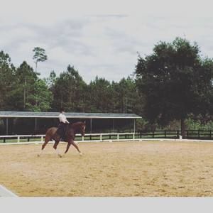 Meet your Posher, Shelby