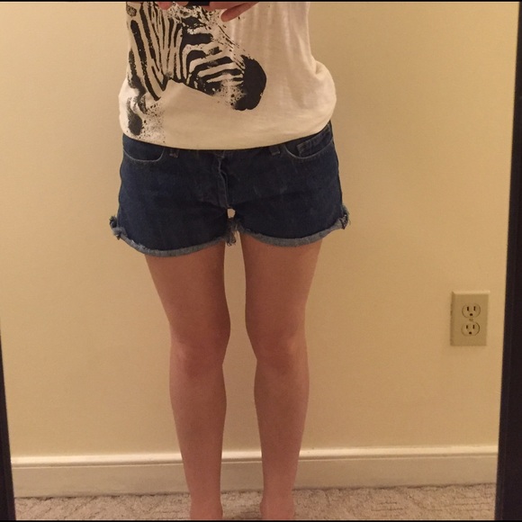 American Apparel Jean Shorts - Picture 3 of 4