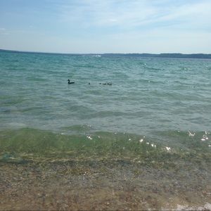 Meet your Posher, Meg