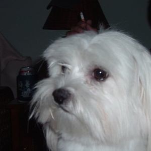 Meet your Posher, Maritza