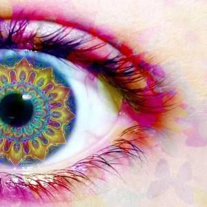 Meet your Posher, Carmen