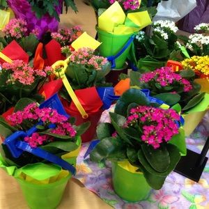 Meet your Posher, Debby