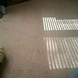 Meet your Posher, Norma