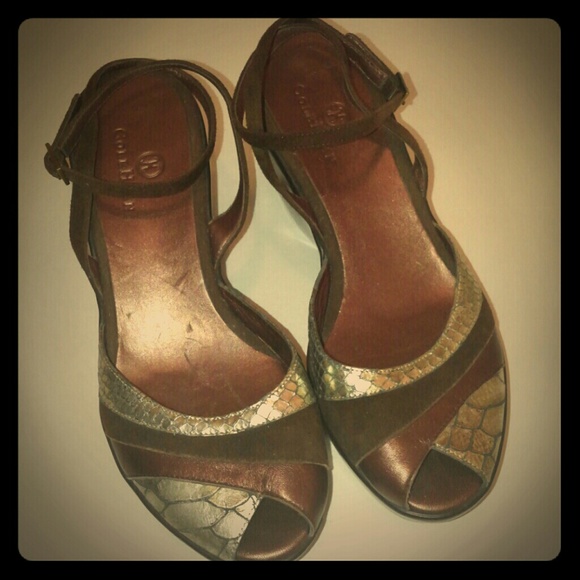 Cole Haan Shoes