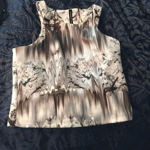 Walter baker top