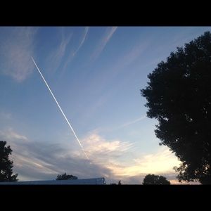 Meet your Posher, Millie