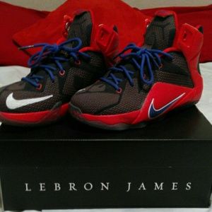 Lebron XII (GS)