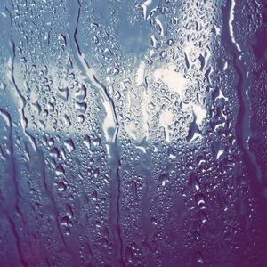 Meet your Posher, Isabella