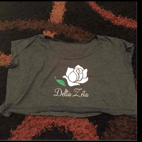 Delta zeta crop top