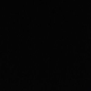 Meet your Posher, Tatum