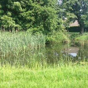 Meet your Posher, Kendall