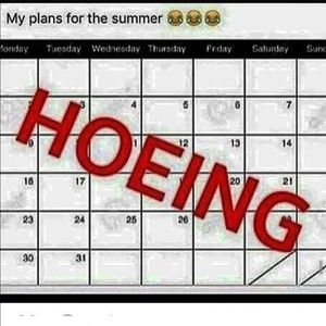 Meet your Posher, Jada