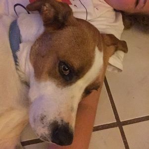 Meet your Posher, Arrianna