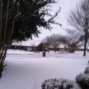 Meet your Posher, Yvonne