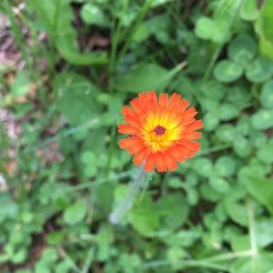 Meet your Posher, Stella