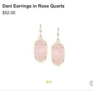 Kendra Scott Dani Earrings