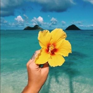 Meet your Posher, Olivia mae