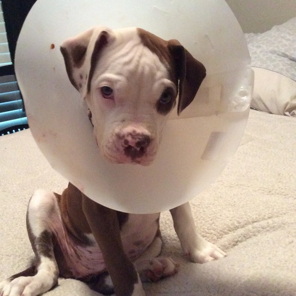 My poor baby!!! 💕😂😔