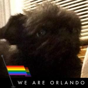 Meet your Posher, Ann