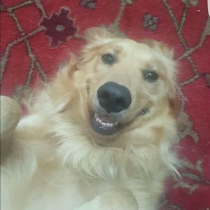 Meet your Posher, Kelsie