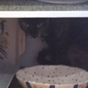 Meet your Posher, Grace