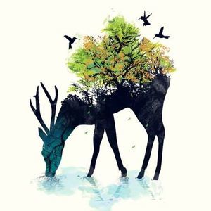 Meet your Posher, Ana