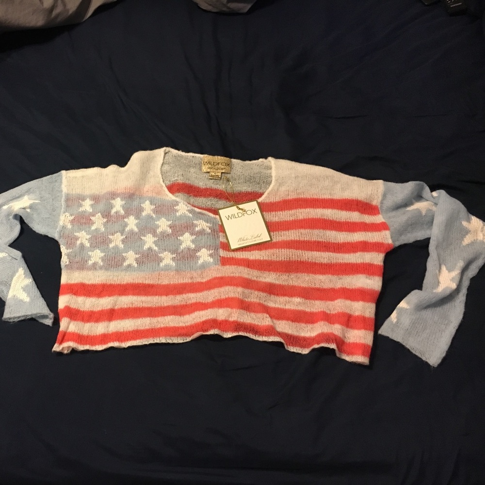 Wildfox couture cropped sweater