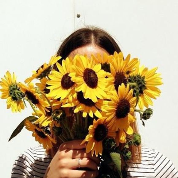 Meet your Posher, Maya - Picture 3 of 6