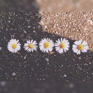 Meet your Posher, Summer