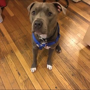 Meet your Posher, Caitlin