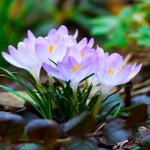 Meet your Posher, Elle