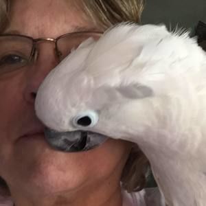 Meet your Posher, Nita