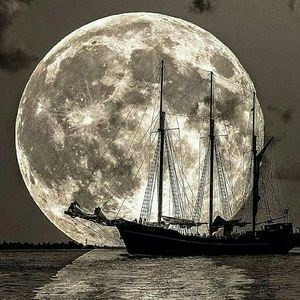 Meet your Posher, Taisha