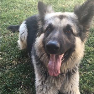 Meet your Posher, Isandra