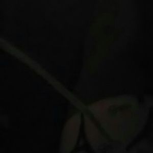 Meet your Posher, Jayla